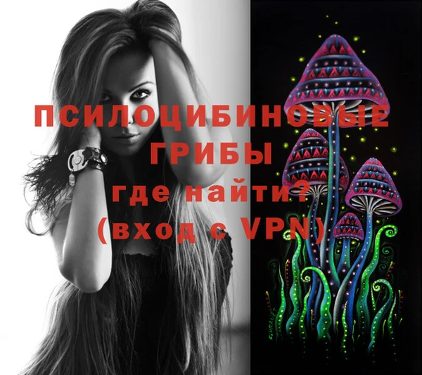 Альфа ПВП Армянск